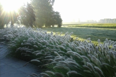 Zicht vanuit de woning