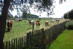 Zicht vanuit de woning