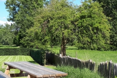 20190617_173122-verkleind